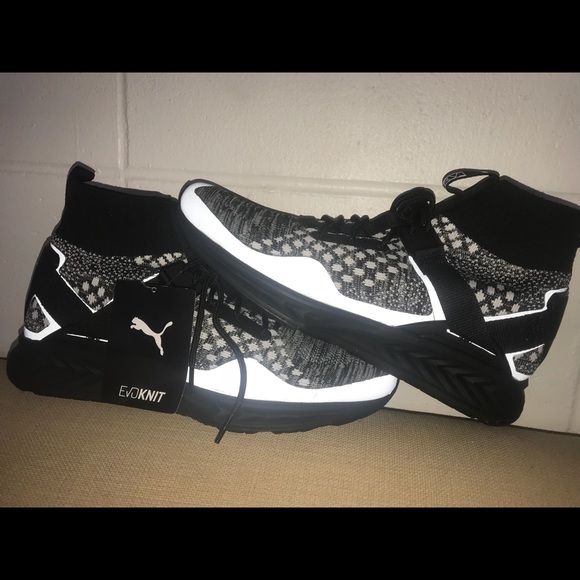 puma ignite evoknit x staple